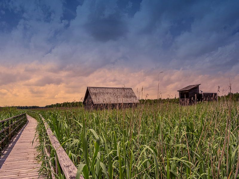 BAD BUCHAU : DER HOLZSTEG ZUM FEDERSEE von Photoart-Naegele