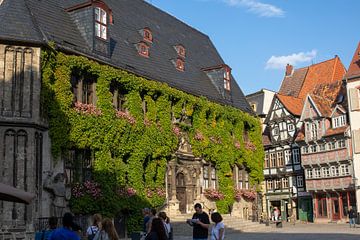 Welterbestadt Quedlinburg - Rathaus von t.ART