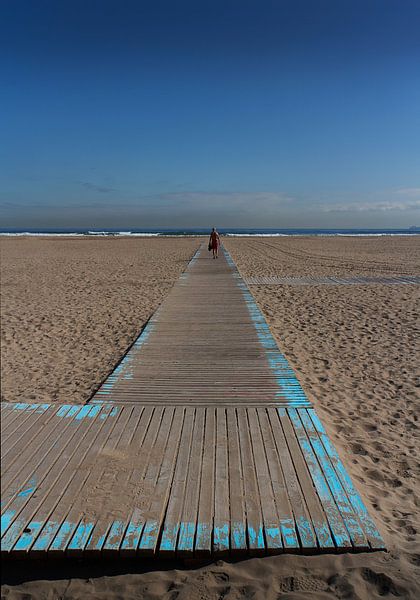 eenzame strandgast par Henk Speksnijder