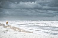 Sturm und Strand von eric van der eijk Miniaturansicht