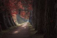Autumn Lane von Patricia Boekhout Miniaturansicht