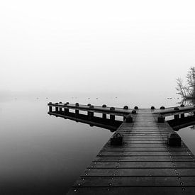 Twee Gedachten - Amsterdamse Bos van Koen Boelrijk Photography