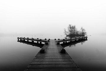 Twee Gedachten - Amsterdamse Bos van Koen Boelrijk Photography