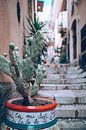 Straat met trap in Taormina op het eiland van  Sicilië, Italië van DeedyLicious thumbnail