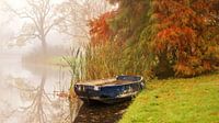 Autumn Colors