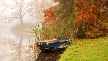Autumn Colors