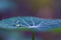 In Balance