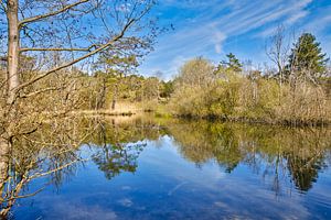 dune lake in the dune landscape by eric van der eijk