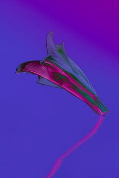 Vivid botanical VI van Teis Albers