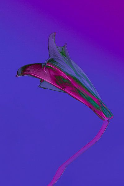 Vivid botanical VI by Teis Albers