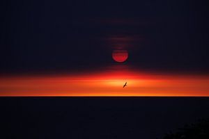 Jan-van-Gent met een mooie zonsondergang