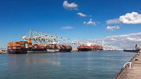 Containerterminal in de haven van Rotterdam met 2 containerschepen van Rick Van der Poorten thumbnail