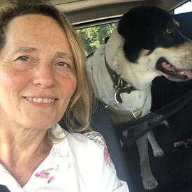 moments in watercolors profielfoto