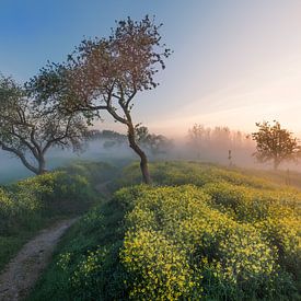 Lente in Nederland van Thijs Friederich