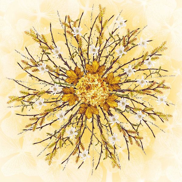 mandala sun by Klaartje Majoor