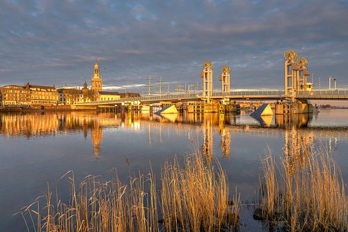 Kampen in het goud van Fotografie Ronald