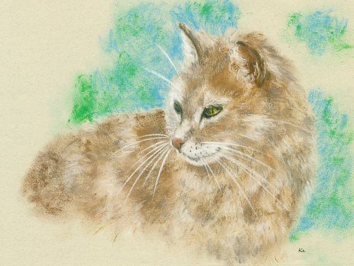 Portrait d'un chat tigré