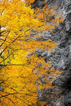 Couleurs automnales brillantes en montagne sur Emile Kaihatu