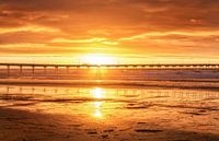 Burnt Orange - San Diego, California by Joseph S Giacalone Photography thumbnail