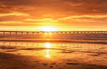 Orange brûlée - San Diego, Californie sur Joseph S Giacalone Photography