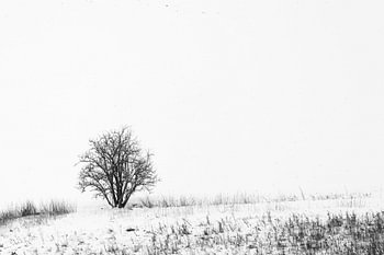 Weiße Stille im Winter