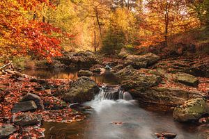 Belgischen Ardennen