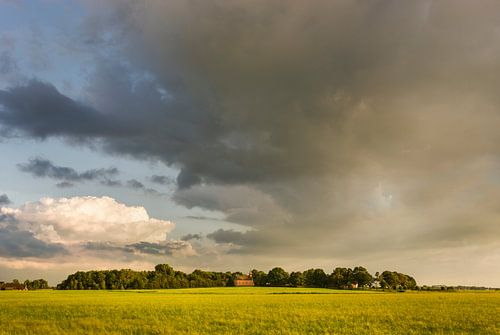 Wierdendorp Rottum in de provincie Groningen, Nederland