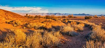 Panorama van de Namib woestijn, Namibië van Rietje Bulthuis