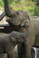 Mother and son