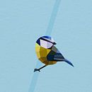 Blaumeise (Vogel, Blaumeise, Polygon) von Color Square Miniaturansicht