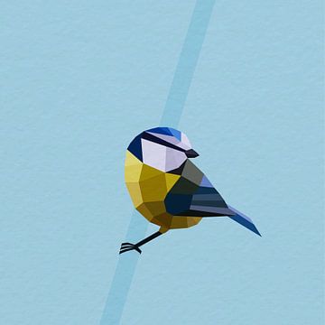 Mésange bleue (Oiseau, Mésange bleue, Polygone)