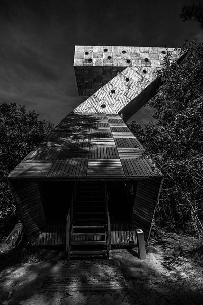 Zwart wit foto uitkijktoren Fochteloöerveen Friesland van Arnold Loorbach Photography