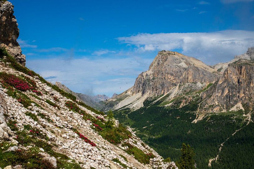 Views from the 5 Torri - Dolomites by Ton Tolboom