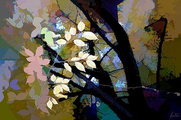 Gele bladeren in het bos van Tom Kostes Photography
