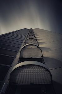 Jungle de béton