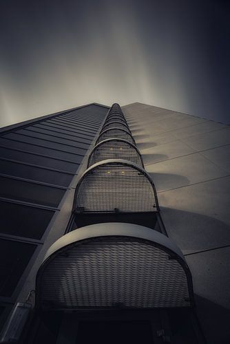 Dschungel aus Beton