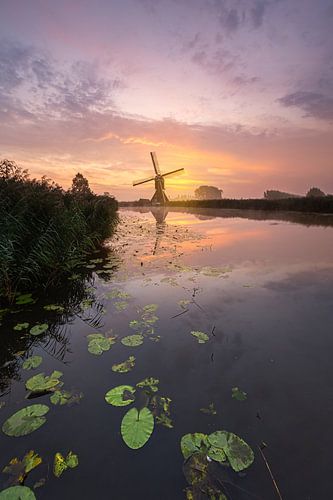 Oudendijkse molen