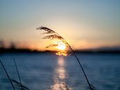 A lake Sunset by Mr White Takes Pictures thumbnail