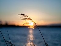 Haarrijnse Zonsondergang