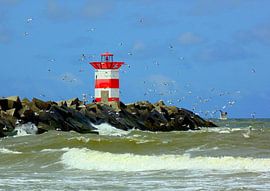 Scheveningen Harbour by Koos Iperen