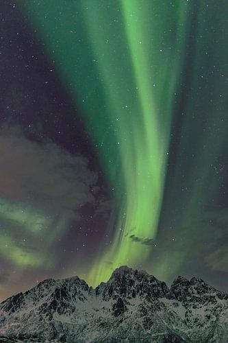 Noorderlicht, Aurora Borealis boven de Lofoten-eilanden in Nor