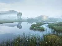 Dreamland Norway