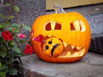 Halloween Pompoen van Rob Boon