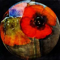 Mohn - abstraction