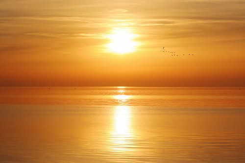 Colorful Dutch sunset over Wadden Sea