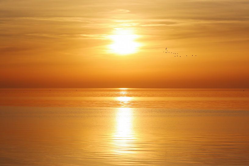 Colorful Dutch Sunset over Waddenzee van Nelemonsi Photo Art
