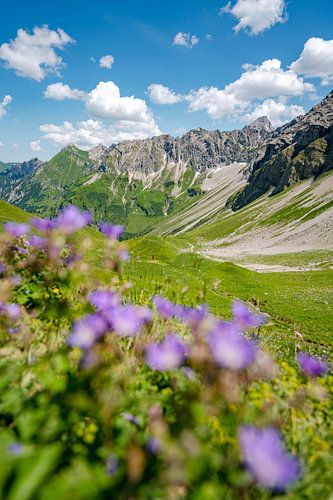 Bloemrijk uitzicht op de Hintersteiner vallei en de Hochvogel