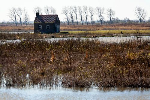 Une maison rendue à la nature sur Tiengemeten