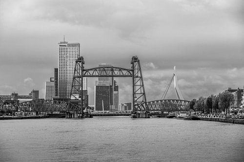Trois ponts, le koningshavenbrug, le koningsbrug et l'erasmusbrug à Rotterdam en noir et blanc.