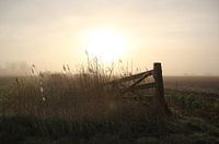 Texel Landschap 023